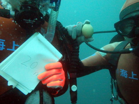 生卵を持つ潜水士